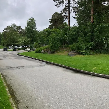 Sjoutsikt I *
